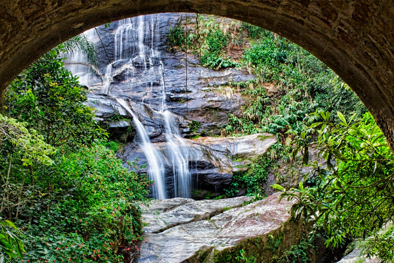 Bosque de Tijuca