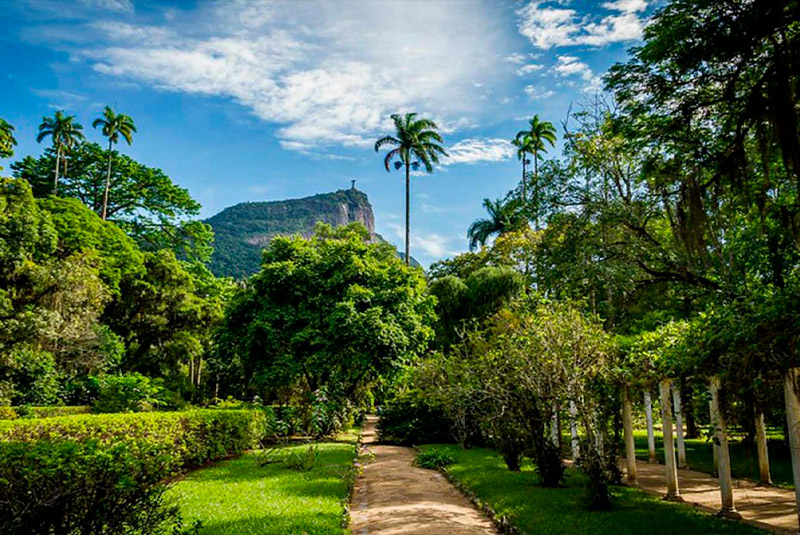 Jardín Botánico - Río de Janeiro